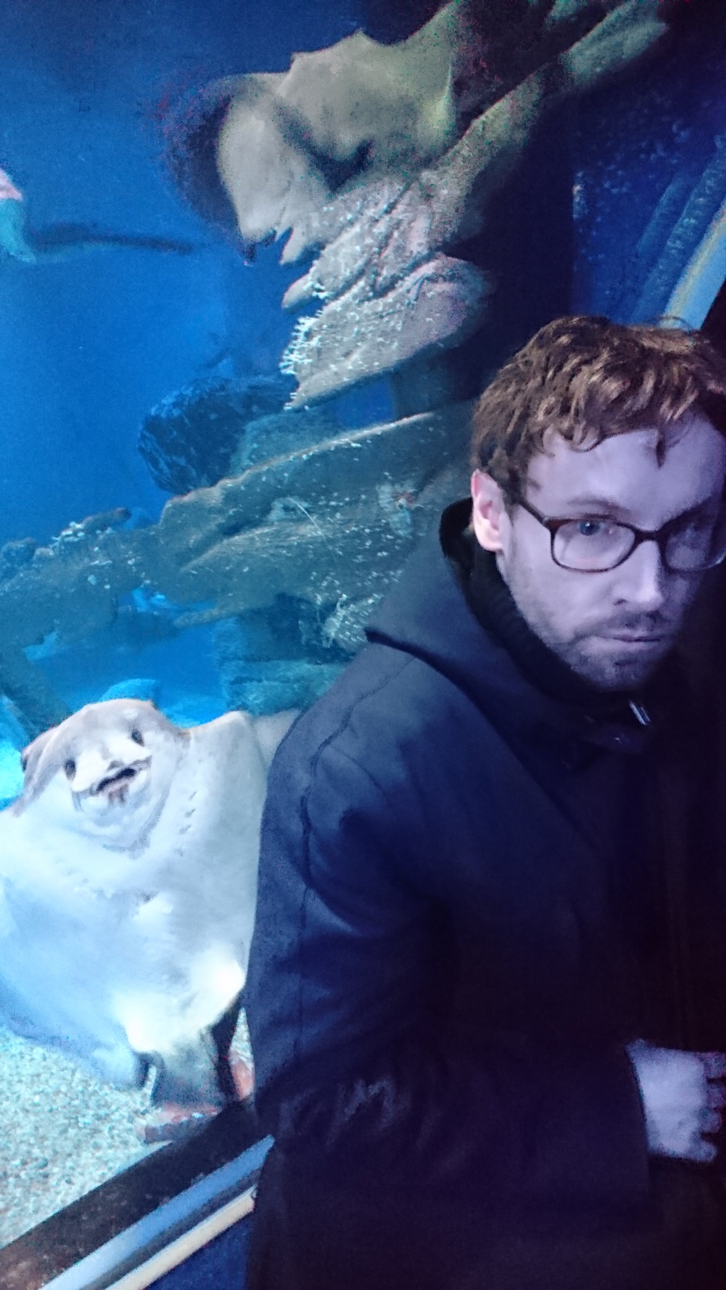 Georg Leß. die Hohlhandmusikalität. Gedichte